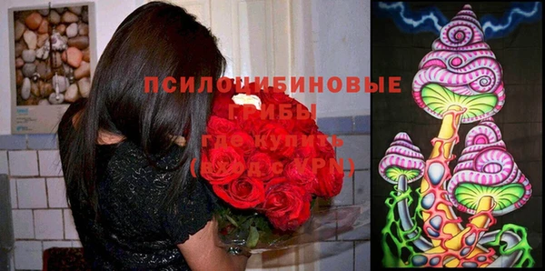 мдма Вяземский