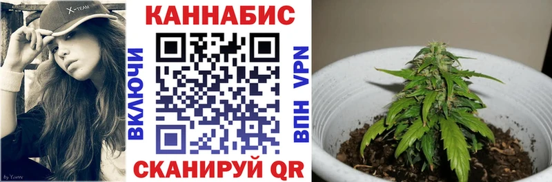 Каннабис план  наркотики  Балашиха 